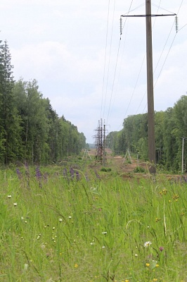 Под линиями электропередач в Новой Москве расчистили около 50 гектаров просек 